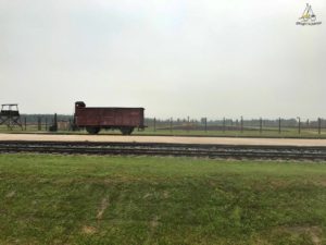 auschwitz-birkenau-II-4